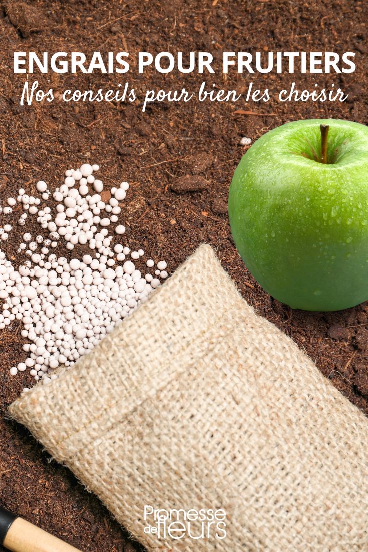 Welcher Dünger für meine Obstbäume?