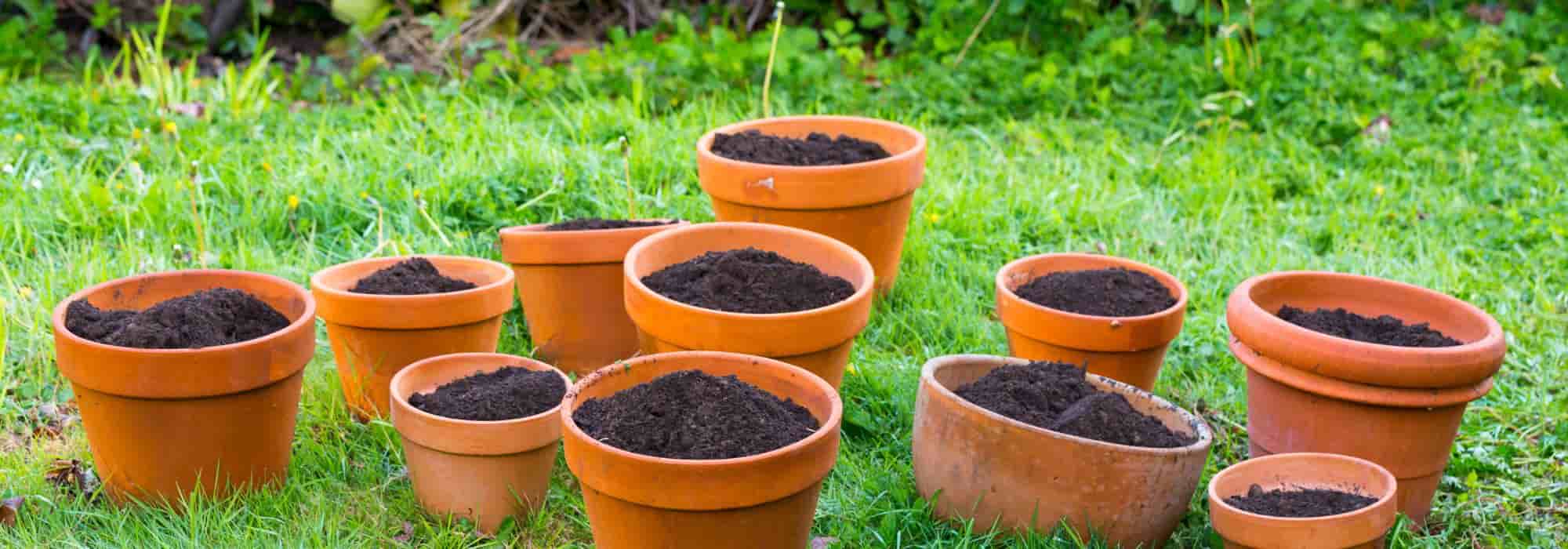 Erde und Blumenerde aus alten Blumentöpfen: Was tun?