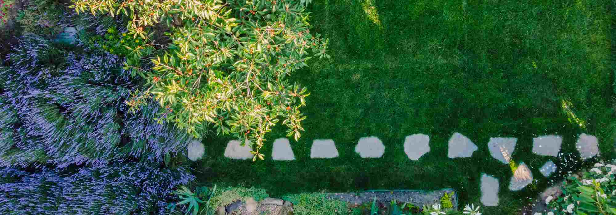 Ersten Garten anlegen: Womit beginnen?