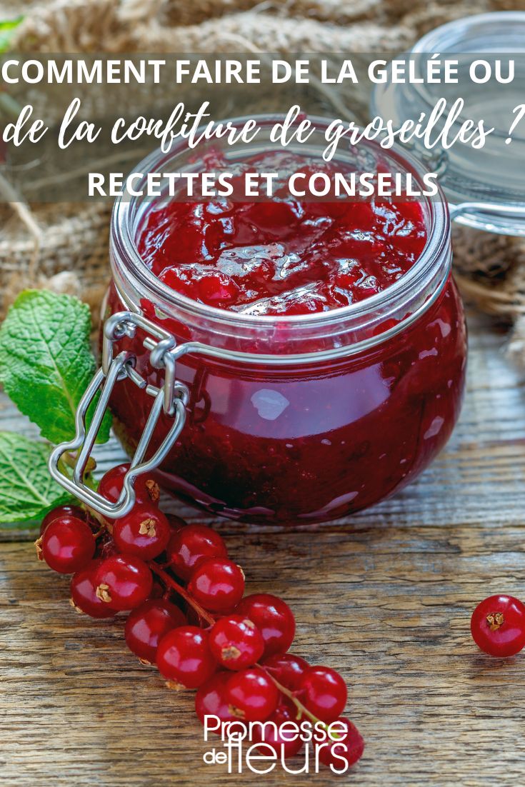 Stachelbeeren