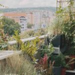 Nordbalkon gestalten
