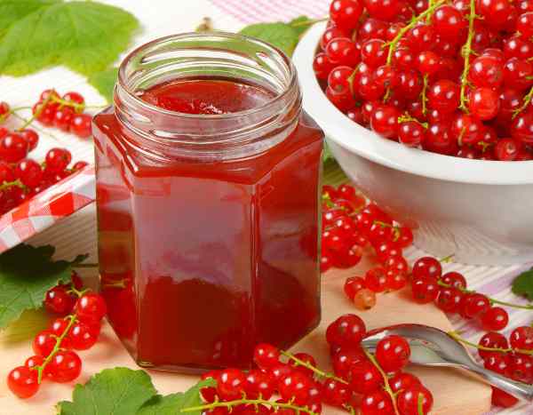 Johannisbeeren als Konfitüre oder Gelee: 2 köstliche Rezepte!