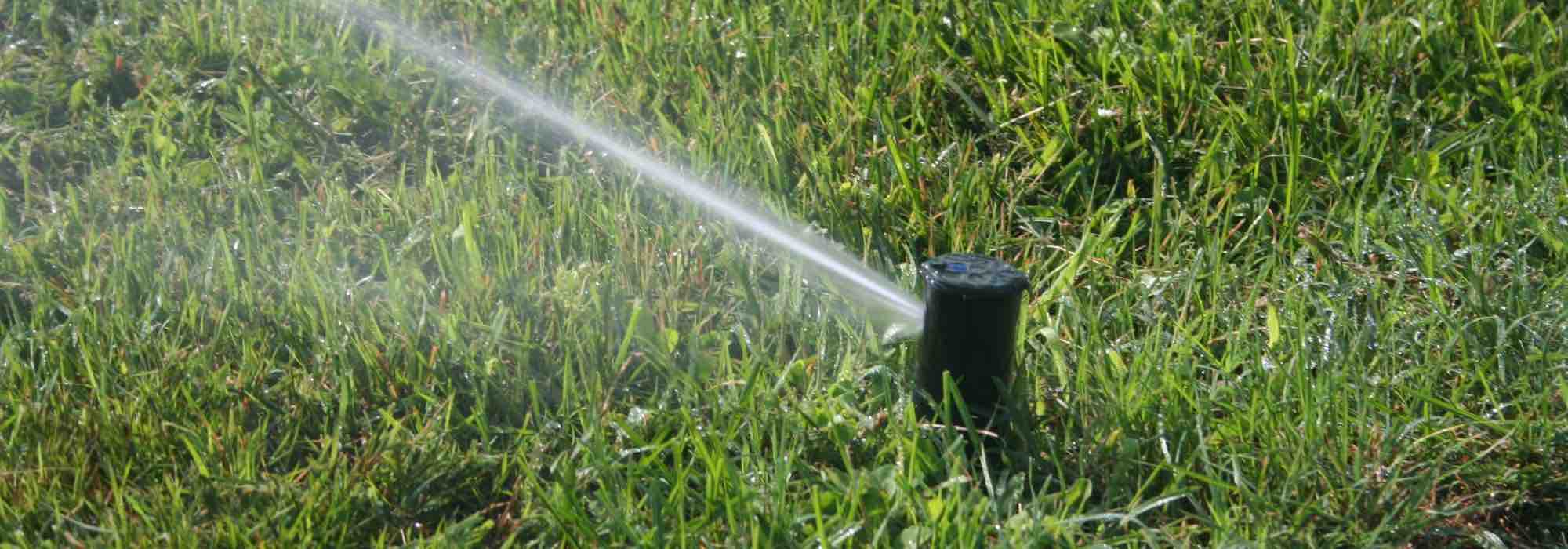 Rasenpflege im Sommer?