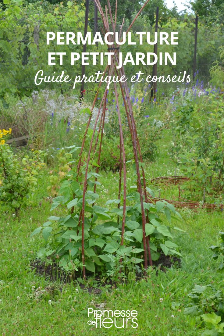 Kann man Permakultur auch in einem kleinen Garten umsetzen?