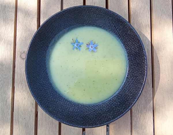 Borretschblättersuppe: einfach und lecker
