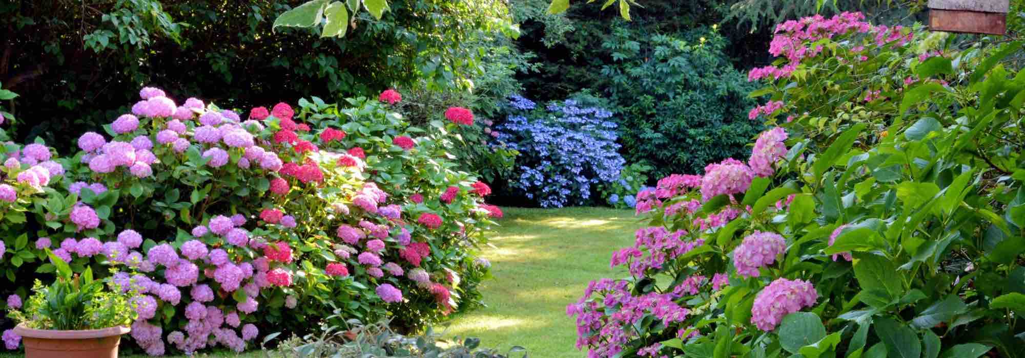 Garten mit Ostlage gestalten?
