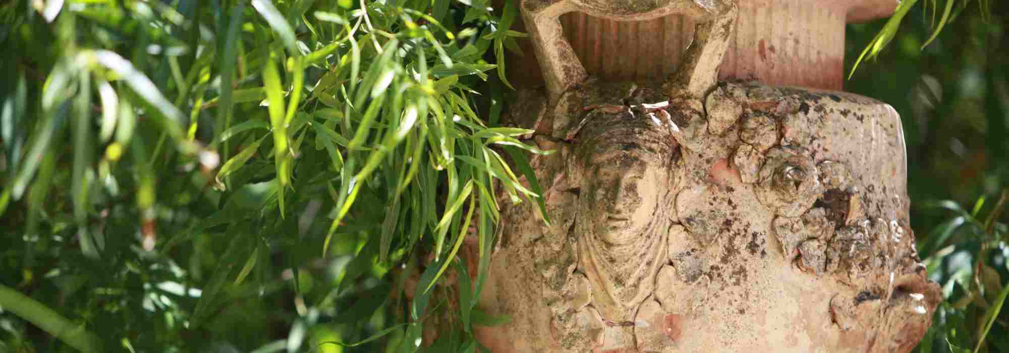 Terrakotta-Töpfe im Garten: richtig einsetzen?