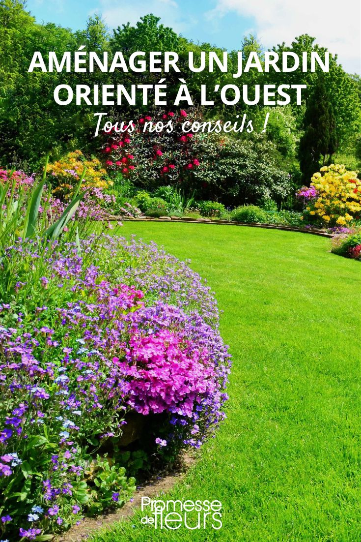 Tipps für einen nach Westen ausgerichteten Garten