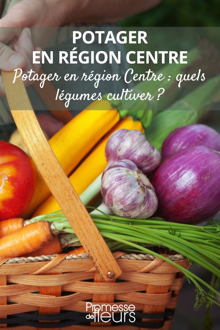 Gemüsegarten in der Region Centre