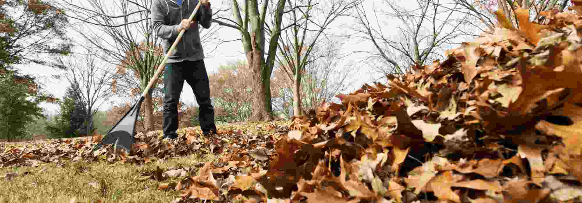 Gartenpflege: Wichtige Werkzeuge zum Aufsammeln und Reinigen