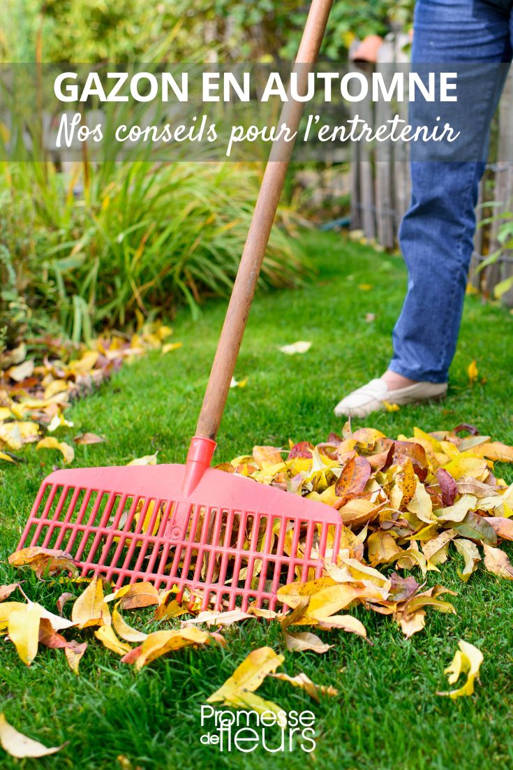 Herbstliche Gartenpflege