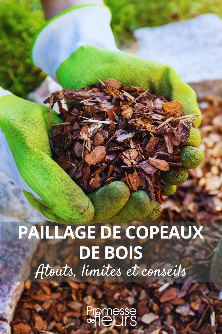 BRF (Bois Raméal Fragmenté)