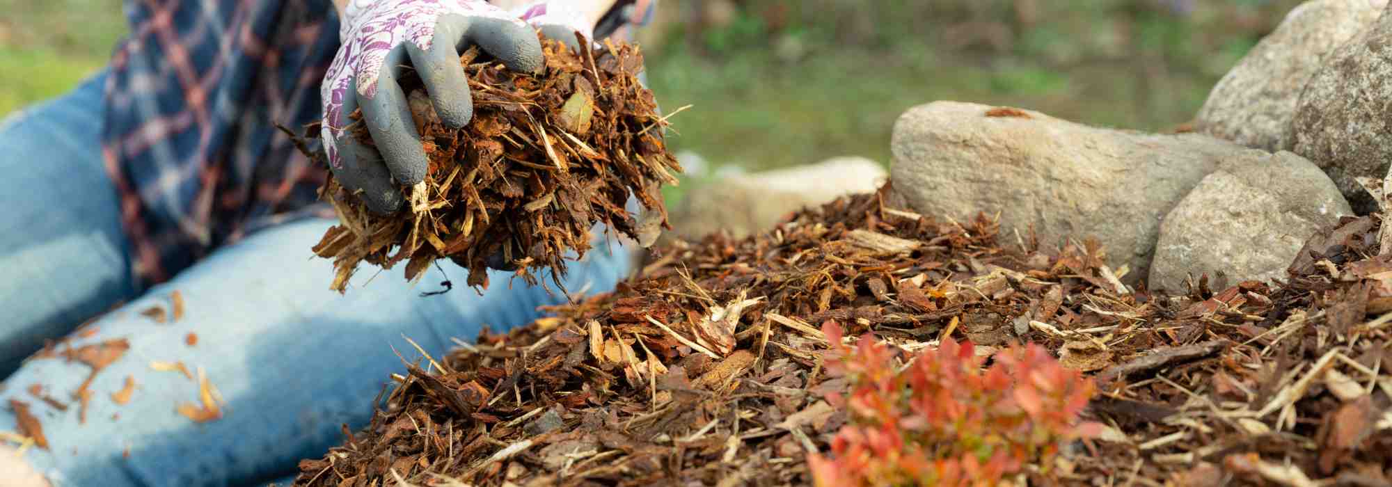 Permakultur und Bio-Gemüsegarten: ökologisch mulchen