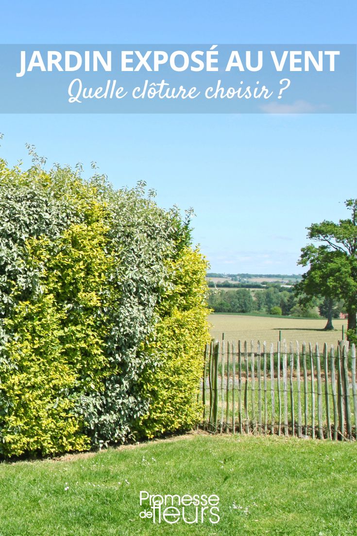 Hecke und Zaun