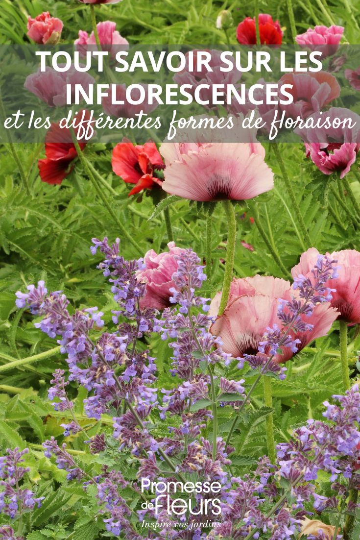 Die Blumen und ihre Formen