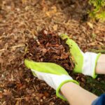 Gartenanfänger: Ihren Garten in 5 einfachen Schritten mulchen