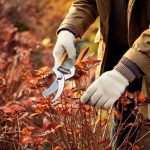 Gartenanfänger: Wann und wie Sie Ihre Stauden in 4 einfachen Schritten schneiden