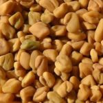 Bockshornklee anbauen: gesundheitliche Wirkung