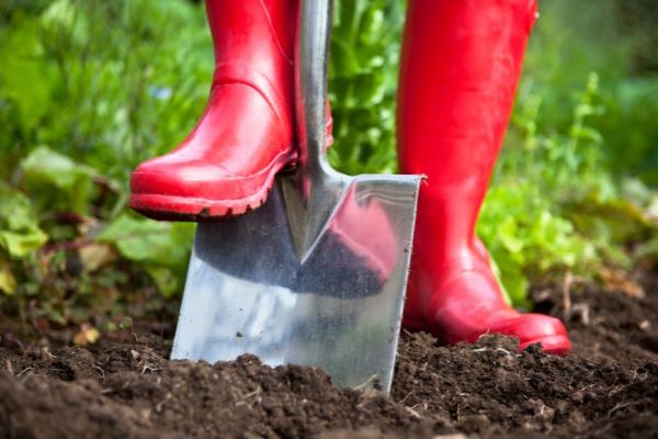 Gartenanfänger: Was ist Umgraben? Wie geht das?