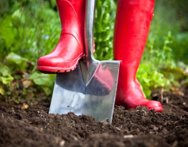 Gartenanfänger: Was ist Umgraben? Wie geht das?