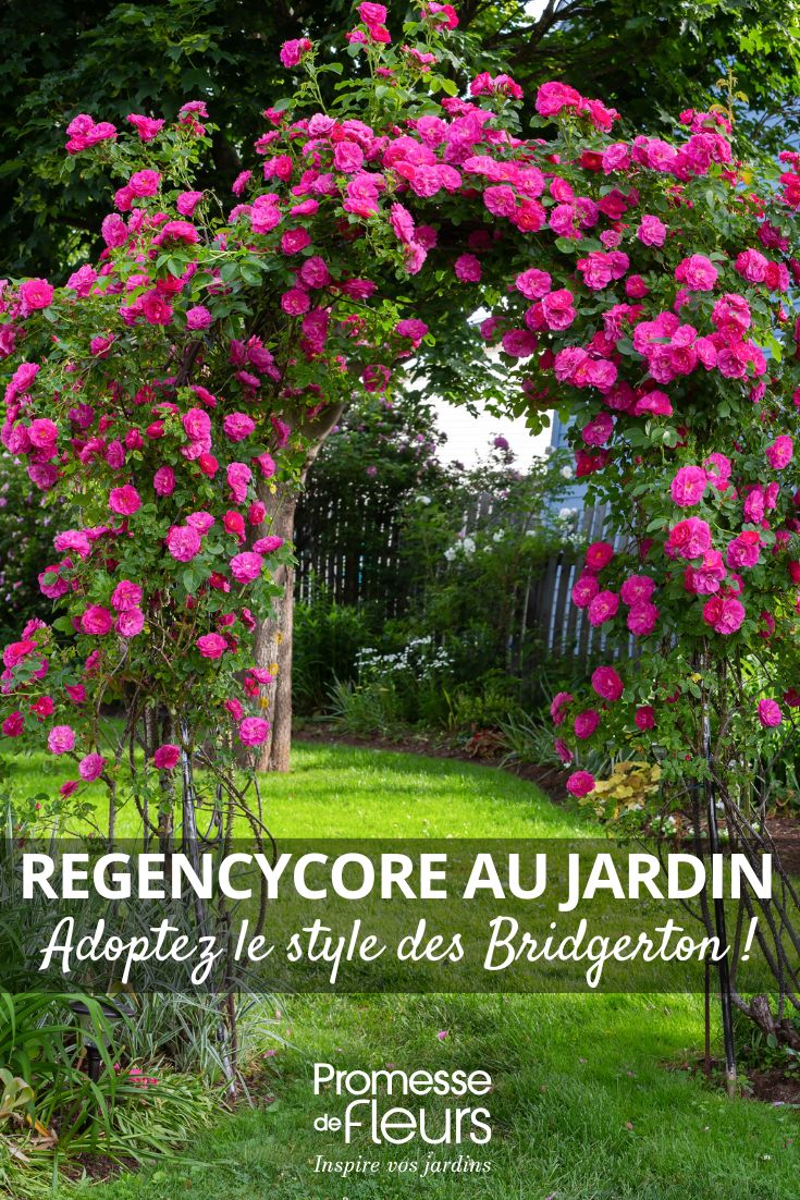 Regencycore im Garten: Verleihen Sie Ihrem Garten den Bridgerton-Look Ein Rosenbogen in einem romantischen Garten