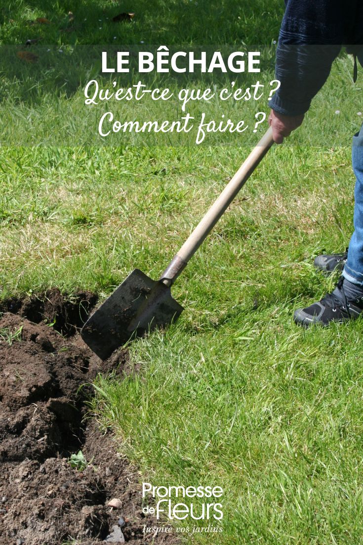 Den Garten gießen, wie geht man vor?