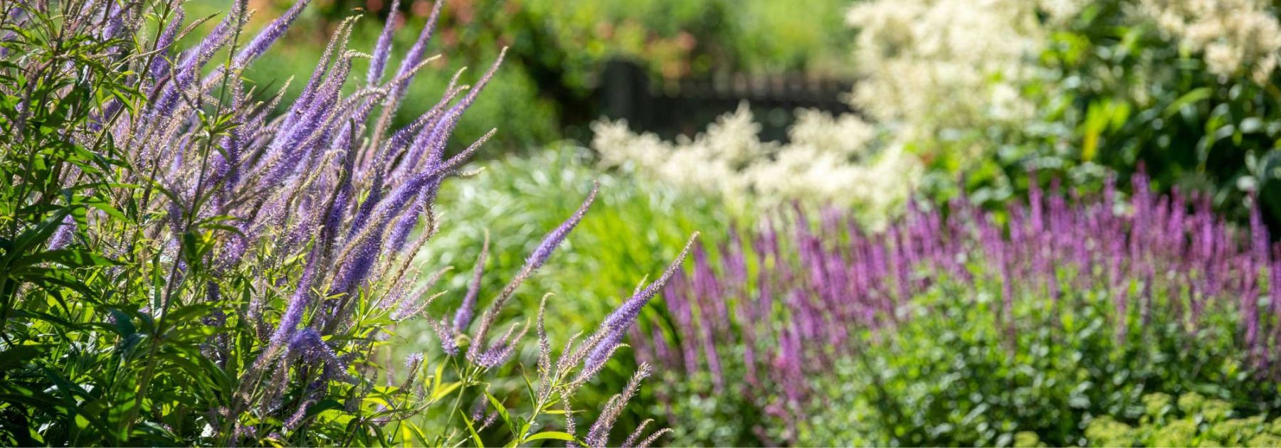 Gartentrend 2025: Naturnahe Ästhetik inspiriert einen lässigen, ländlichen Stil