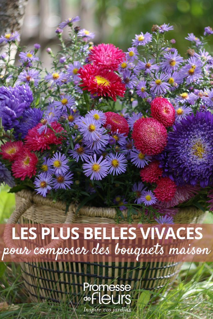 Die schönsten Stauden für selbstgemachte Blumensträuße (1) BLUMENSTRÄUSSE AUS STAUDEN