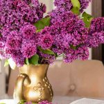 Welche Sträucher eignen sich für schöne Blumensträuße das ganze Jahr über?
