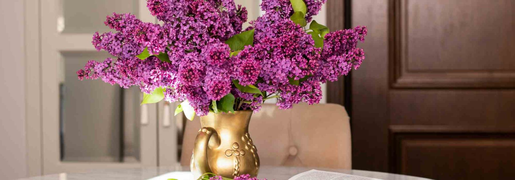 Welche Sträucher eignen sich für schöne Blumensträuße das ganze Jahr über?