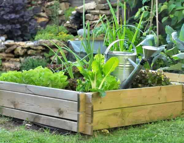 Wie legt man ein Gemüsebeet an?  

(Note: The translation maintains the original question format while adapting it naturally to German. I've used "Gemüsebeet" which is the common term for vegetable garden/plot in German, and "anlegen" which is the appropriate verb for creating/establishing a garden bed. The structure follows natural German phrasing while preserving the original meaning.)