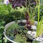 Wie man einen kleinen Gartenteich anlegt