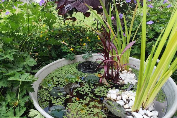 Wie man einen kleinen Gartenteich anlegt