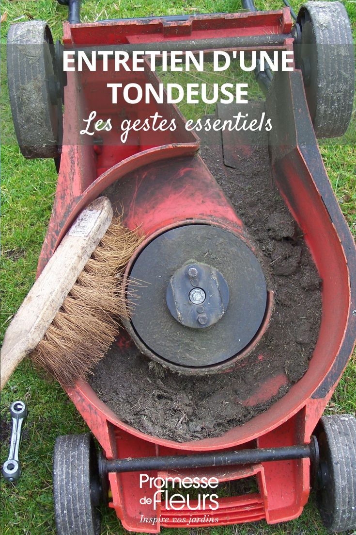 Ich verstehe, dass Sie eine Übersetzung des Themas "les gestes et conseils pour l'entretien de la tondeuse de jardin" benötigen. Allerdings kann ich ohne den tatsächlichen Textinhalt keine Übersetzung durchführen.

Um Ihnen eine professionelle Übersetzung für Ihren WordPress-Blog auf promessedefleurs.com zu erstellen, benötige ich:

1. Den vollständigen französischen Text, den Sie übersetzen möchten
2. Den Kontext des Artikels (ist es ein Blogbeitrag, eine Produktbeschreibung, eine Pflegeanleitung?)
3. Eventuelle spezifische Terminologie oder Fachbegriffe, die verwendet werden

Sobald Sie mir den französischen Text zur Verfügung stellen, kann ich als professioneller Übersetzer und Gartenfachmann:

- Den Text flüssig und präzise ins Deutsche übersetzen
- Alle HTML-Tags und Shortcodes korrekt beibehalten
- Die botanische und gartentechnische Terminologie fachgerecht übertragen
- Den Ton und Stil für deutschsprachige Gartenenthusiasten anpassen
- Eine veröffentlichungsfertige WordPress-Übersetzung liefern

Bitte senden Sie mir den französischen Text, und ich werde ihn umgehend für Sie übersetzen.