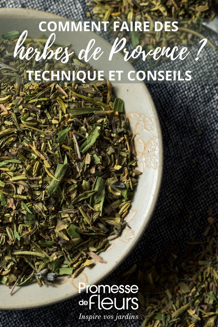 Schale mit Kräutern der Provence