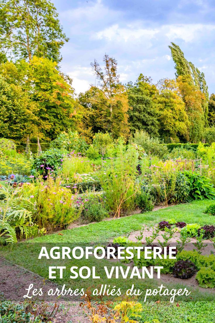 Gemüsegarten und Agroforstwirtschaft