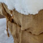 Pflanzen im Winter: Schutz vor Kälte, Austrocknung