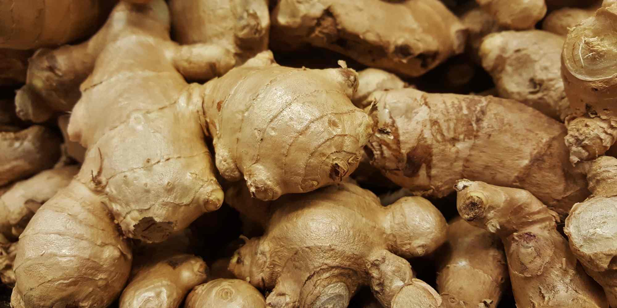 Ingwer für die Gesundheit anbauen