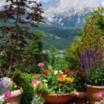 Garten in Höhenlage: Pflanzenwahl, Fehler vermeiden?