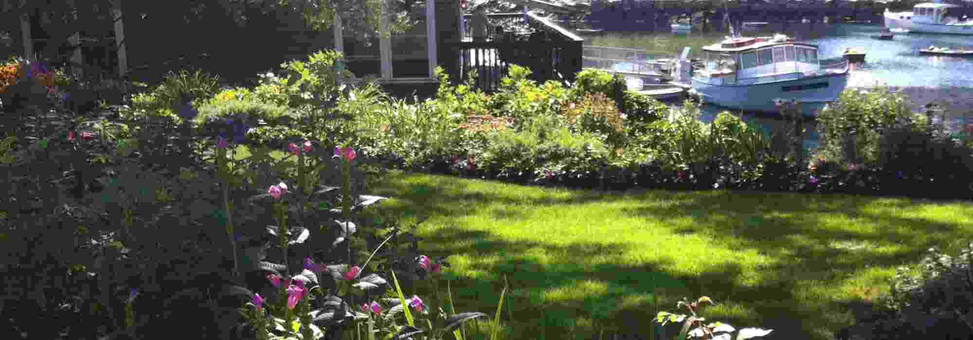 Beet im windigen Garten anlegen