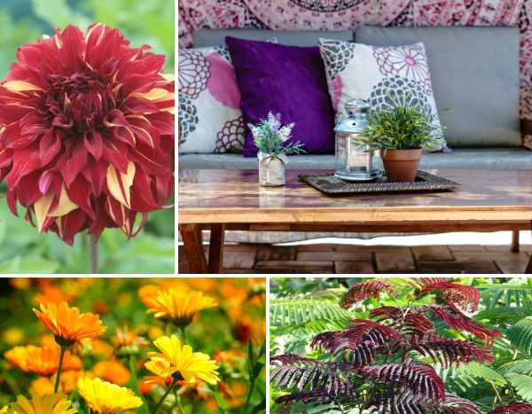Boho-Patio-Trend: Terrasse im Boho-Stil gestalten!