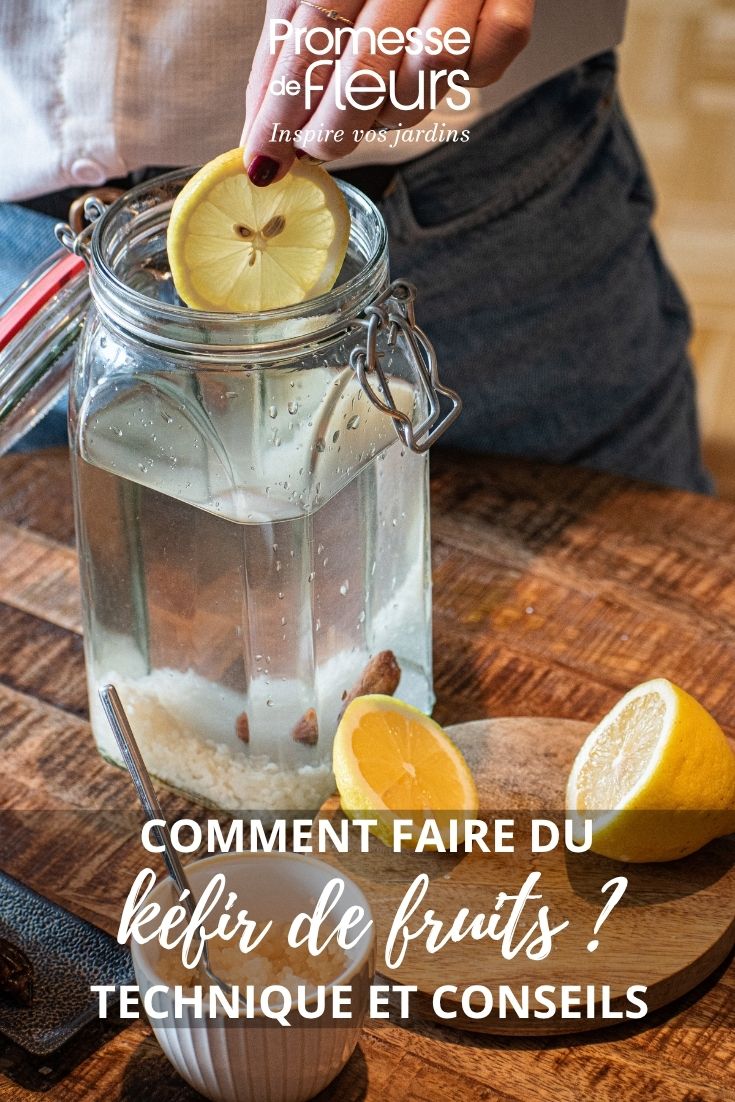 Wasserkefir-Rezept