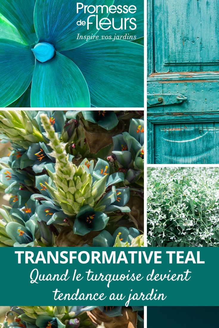 Türkisblau-Inspiration – Teal
