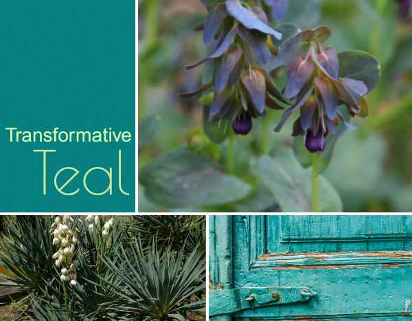 Trendfarbe 2026 „Transformative Teal“: Petrol verwandelt den Garten