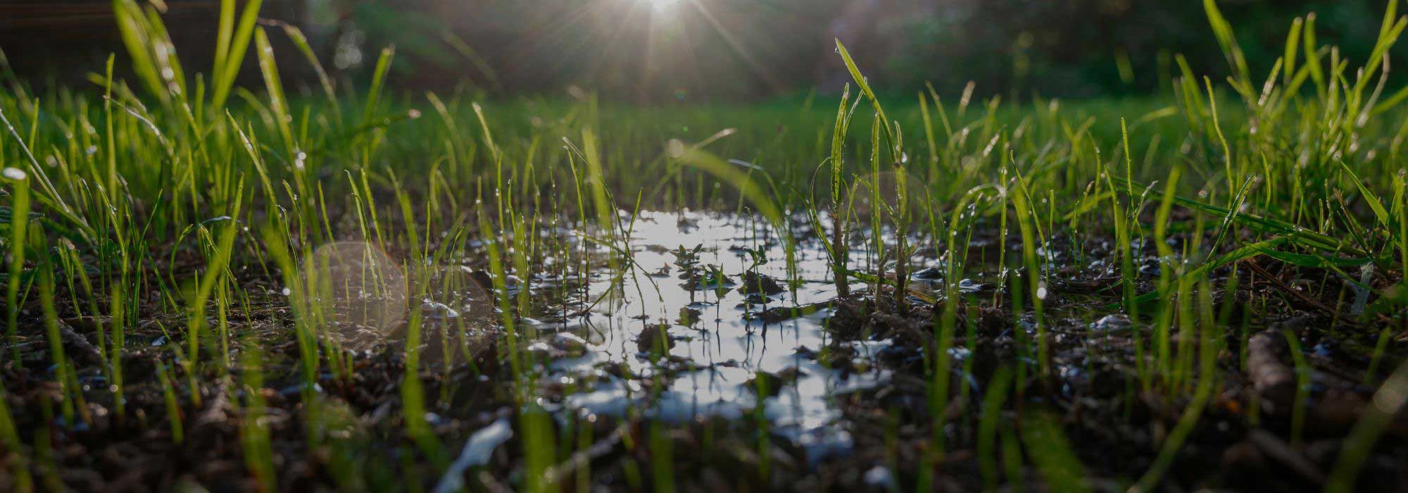 Boden wasserhaltig machen?
