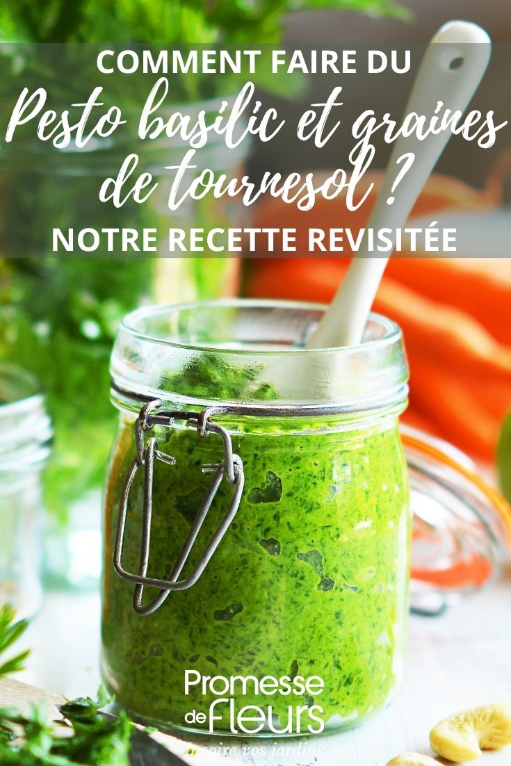 Basilikum-Pesto mit Sonnenblumenkernen, eine köstliche Variante