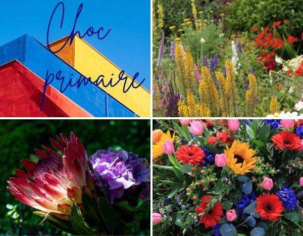 Farbtrend: „Primärschock“ belebt den Garten