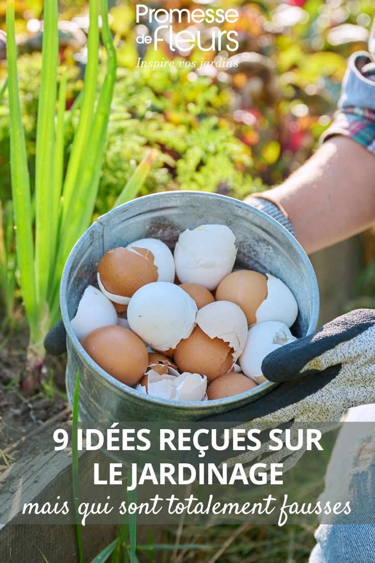 Eierschalen im Garten