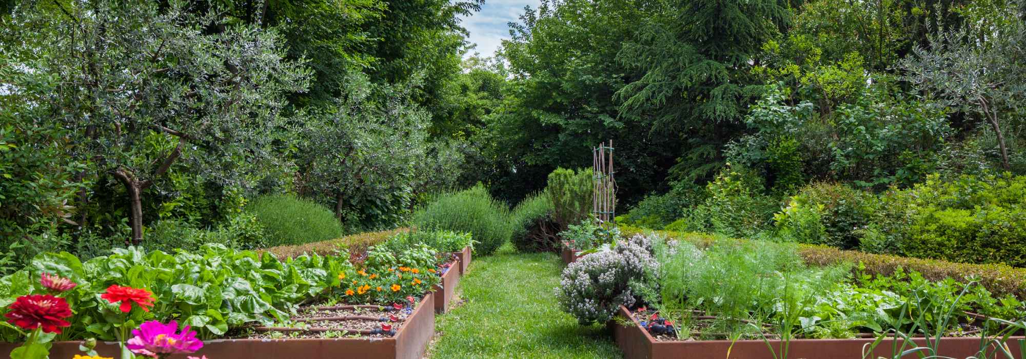 9 falsche Gartentipps, die alle wiederholen