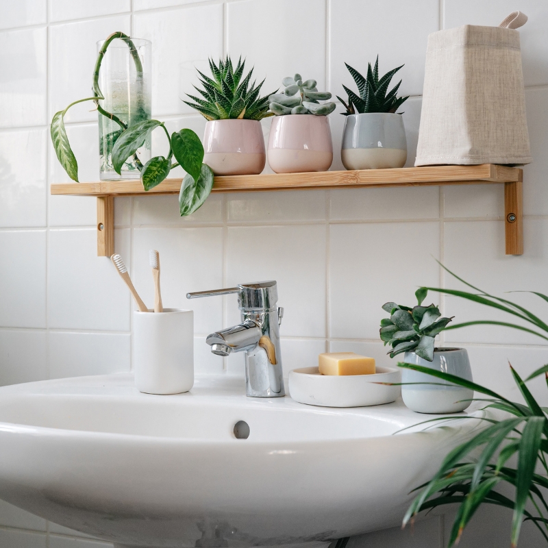 Pflanzen für badezimmer